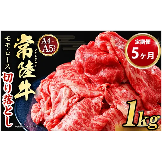 【定期便 5ヶ月】【常陸牛】切り落とし1kg