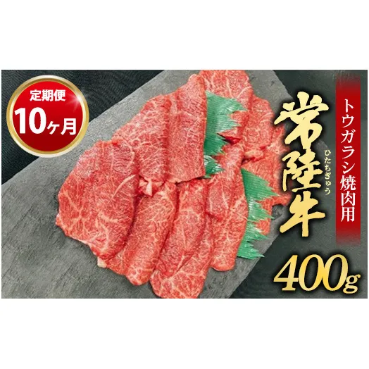 【定期便 10ヶ月】【希少部位】常陸牛トウガラシ焼肉用400g