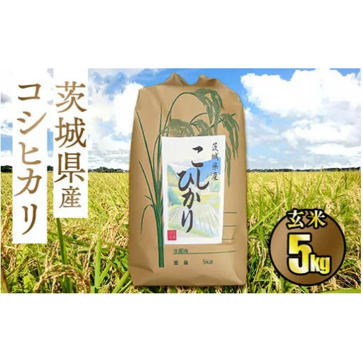 令和5年茨城県産コシヒカリ5kg【玄米】