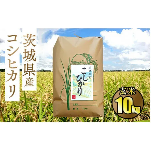 令和5年茨城県産コシヒカリ10kg【玄米】