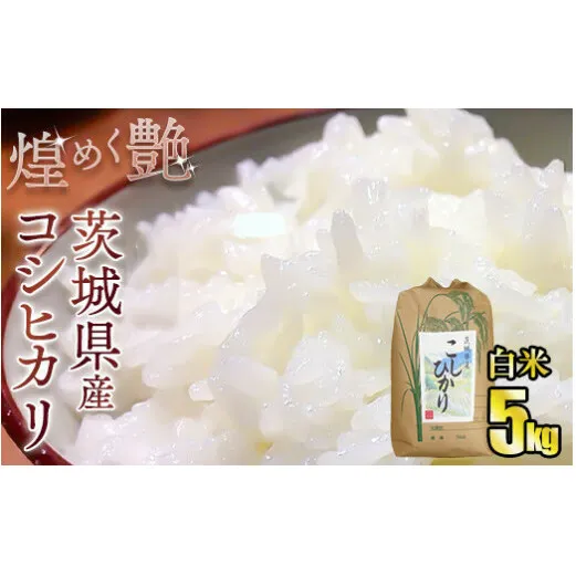 煌めく艶 令和6年茨城県産コシヒカリ5kg【白米】