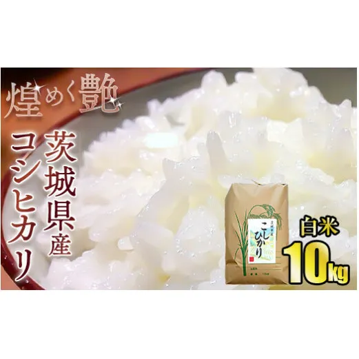 煌めく艶 令和6年茨城県産コシヒカリ10kg【白米】