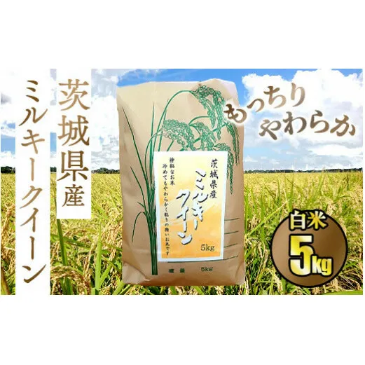 ☆もっちりやわらか 令和5年 茨城県産ミルキークイーン5kg【白米】