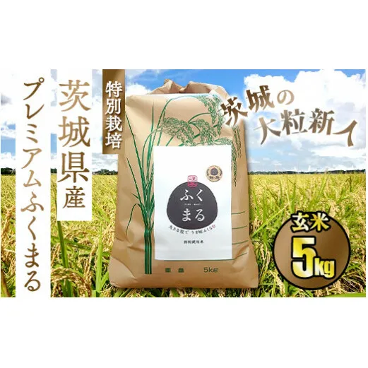 ☆茨城の大粒新人 プレミアムふくまる特別栽培米 5kg【玄米】