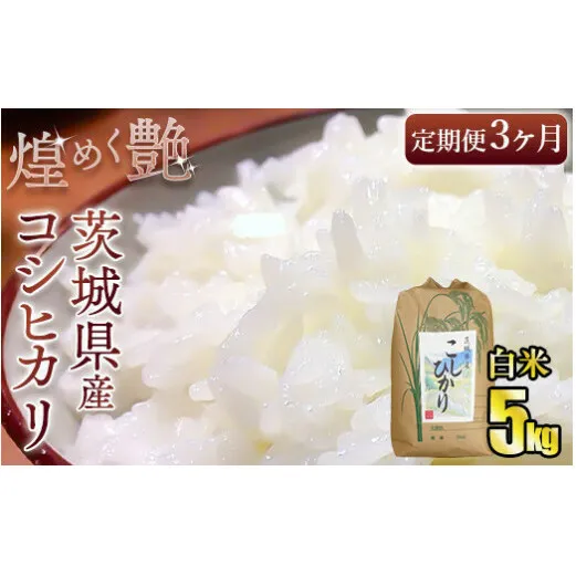 【定期便3ヶ月連続】煌めく艶 令和5年 茨城県産 コシヒカリ 5kg【白米】5kg×3回 合計15kg 白米 日本穀物検定協会 最高評価 特A評価 精米 ごはん ご飯 お米 おこめ 精米 こしひかり ブランド米 定期 定期便 国産 茨城県産 守谷市 送料無料