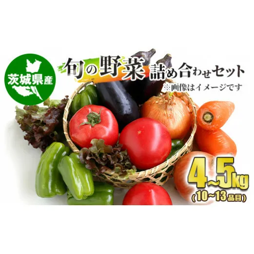 旬の野菜詰め合わせセット 10～13品目 約4～5kg