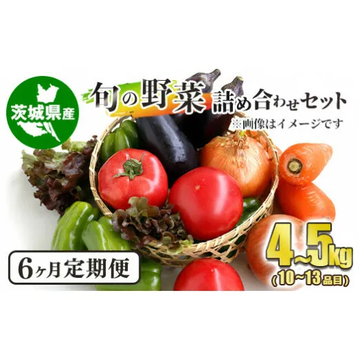 【定期便】 旬の野菜詰め合わせセット 隔月6ヶ月