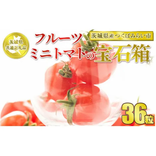 【先行予約】【茨城県共通返礼品　つくばみらい市産】フルーツミニトマトの宝石箱　36粒
※2025年1月～3月下旬頃に順次発送予定