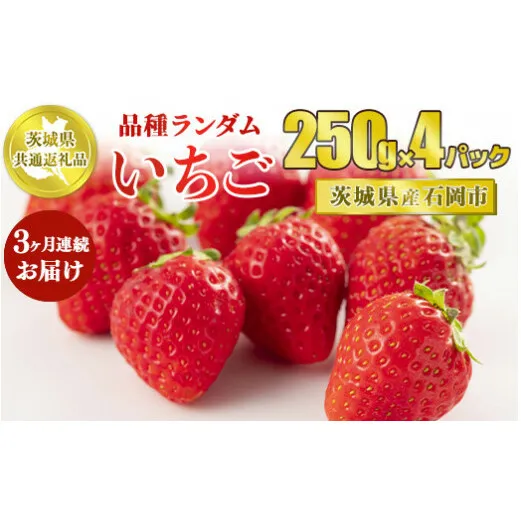 【先行予約】【茨城県共通返礼品　石岡市産】【定期便】いちごの3ヶ月連続お届けセット（250g×4パック）×3回
※2025年1月～3月下旬頃に順次発送予定