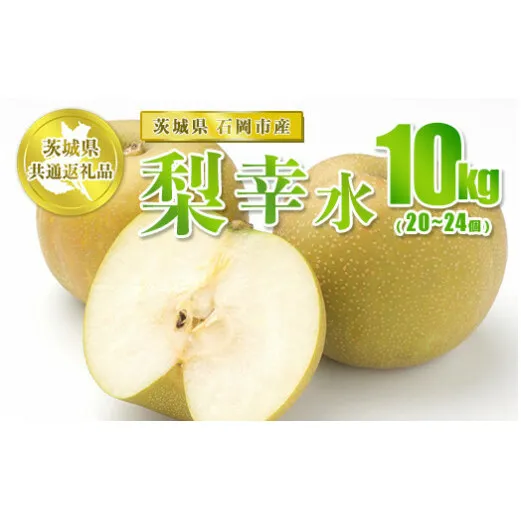 幸水 10kg 20～24個【茨城県共通返礼品 石岡市】 ※2024年8月上旬～8月下旬頃に順次発送予定