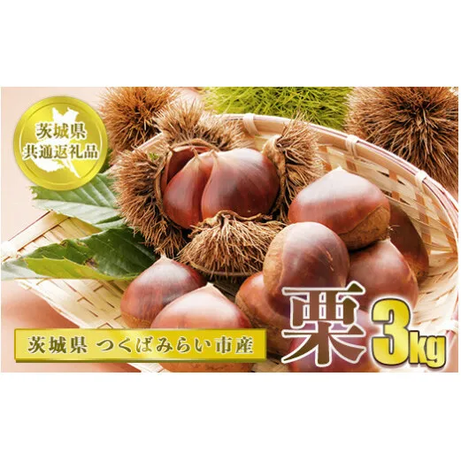 栗 3kg【茨城県共通返礼品 つくばみらい市】
※2024年10月上旬～10月下旬頃に順次発送予定