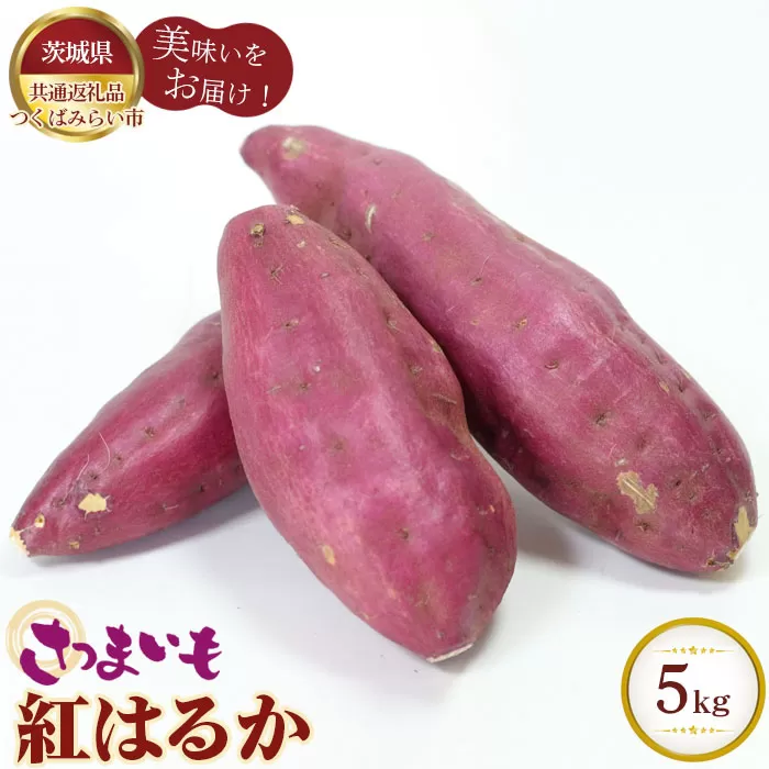 No.328 さつまいも　紅はるか　約5kg【茨城県共通返礼品 つくばみらい市】