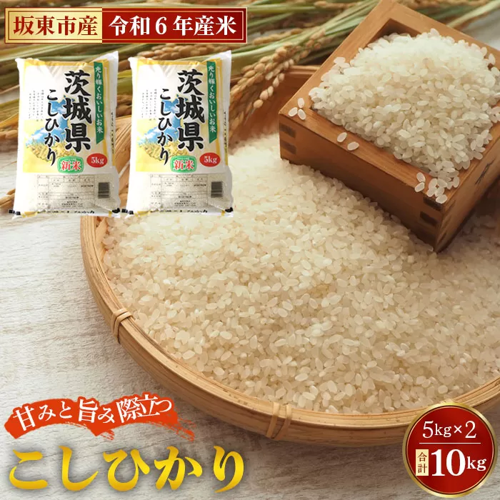 No.669 令和6年産　こしひかり10kg【坂東市産】