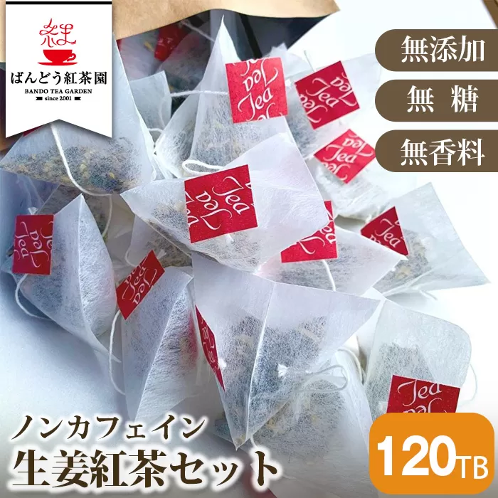 No.118 【120TB】ノンカフェイン生姜紅茶セット  無添加・無糖・無香料