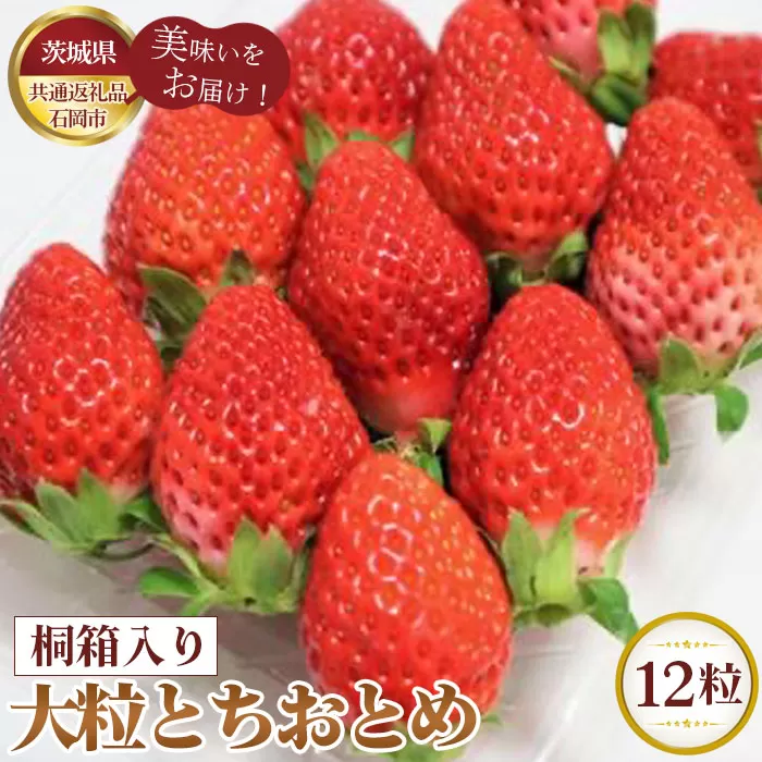 No.367 【先行予約】お歳暮　桐箱入り　大粒とちおとめ　12粒【茨城県共通返礼品 石岡市】