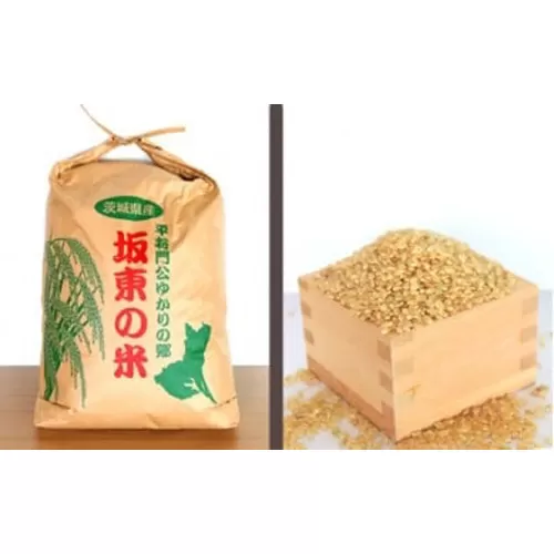 No.177 【令和5年産】茨城県坂東産　コシヒカリ20kg（玄米）