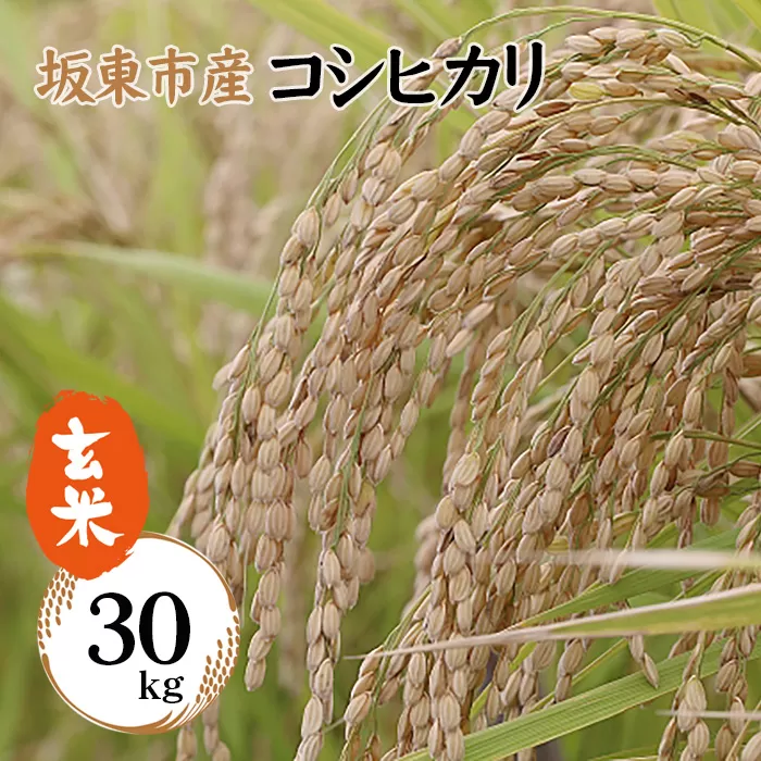 No.756 令和6年産　玄米　コシヒカリ30kg【坂東市産】