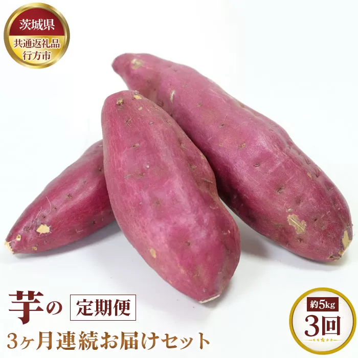 No.371 【先行予約】芋の3ヵ月連続お届けセット　約5kg×3回【茨城県共通返礼品 行方市】