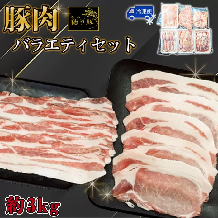 No.841 坂東市産の豚肉バラエティセット　約3kg