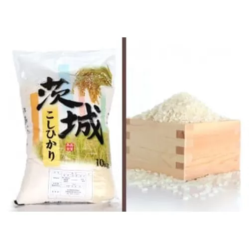 No.176 【令和5年産】茨城県坂東産　コシヒカリ10kg