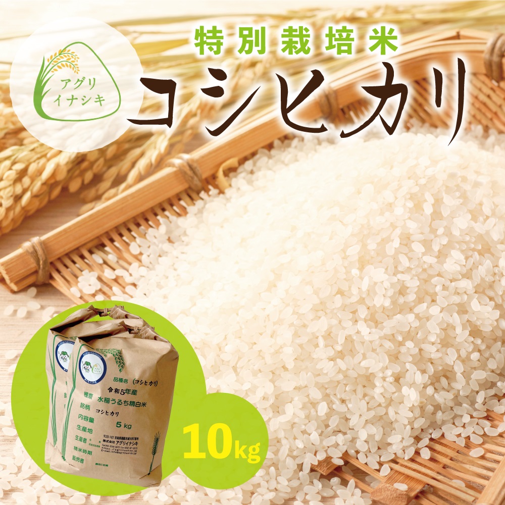 新米【令和6年産】茨城県稲敷市産 特別栽培米 コシヒカリ 合計10kg (5kg×2袋)｜米 おこめ 精米 農家直送 直送 茨城県  [1103]｜稲敷市｜茨城県｜返礼品をさがす｜まいふる by AEON CARD