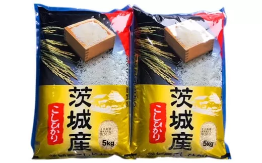 【令和6年産】お米の王様！茨城県産 コシヒカリ 白米 10kg (5kg×2袋)｜おこめ 精米 こしひかり 直送 稲敷 茨城 [1062]