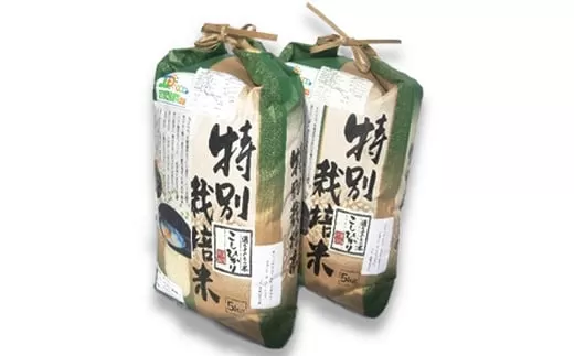 新米【令和6年産】こめ工房水飼 特別栽培米コシヒカリ 10kg (5kg×2袋) [1053]