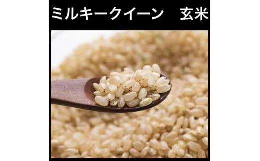 新米【令和6年産】ミルキークイーン 玄米 10kg 玄米といえば！茨城県産 ブランド米 [1076]