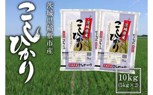 新米【令和6年産】稲敷市産 コシヒカリ 10kg (5kg×2袋) [1111]