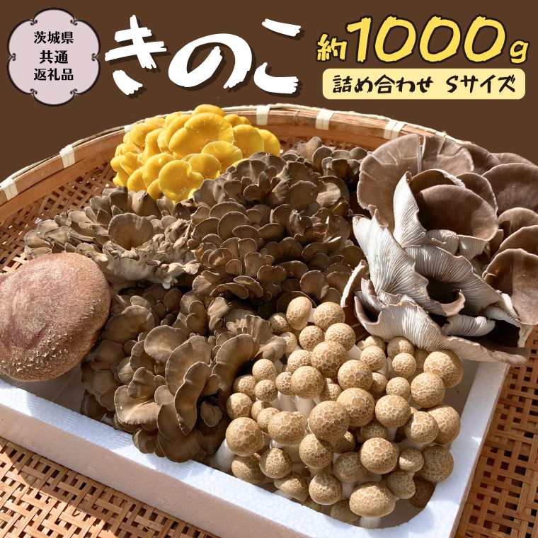 スーパーフード 天然タモギ茸 天然北海道 新規購入 - 野菜