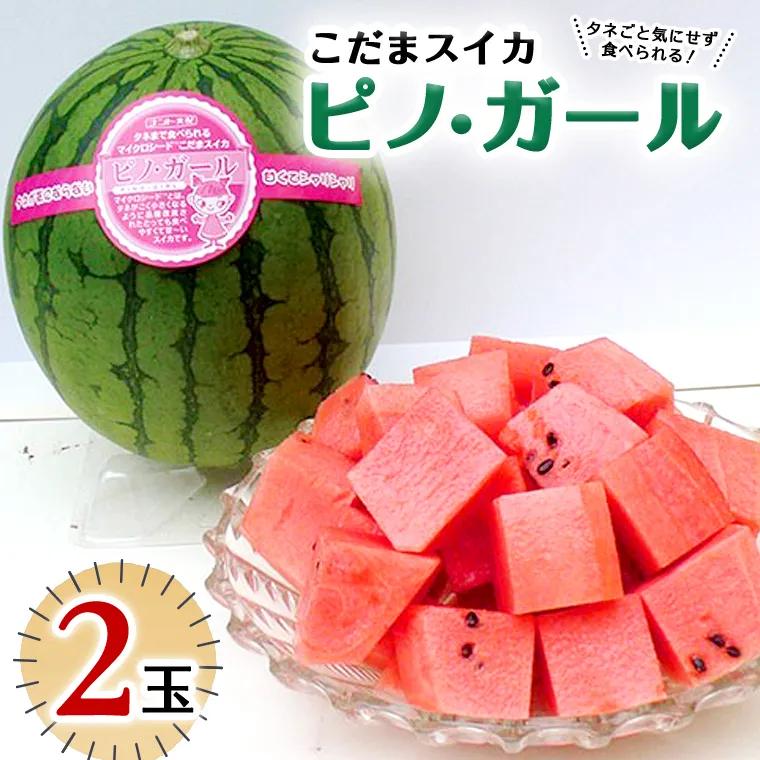 こだまスイカ ピノ・ガール（2玉） 【2025年5月中旬より発送開始】感動必至！ タネが気にならない スイカ 西瓜 [BC028sa]