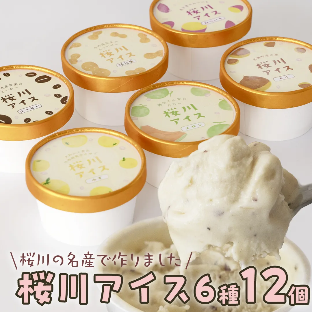 【生産者支援】桜川アイス 6種 12個 セット  数量限定 食べ比べ 90ml×6種類 桜川市のこだわり素材を使用 アイス あいす デザート スイーツ 産地限定 おやつ カップ フレーバー メロン ゆず 蜜芋 コーヒー 栗 茨城県  [SC041sa]