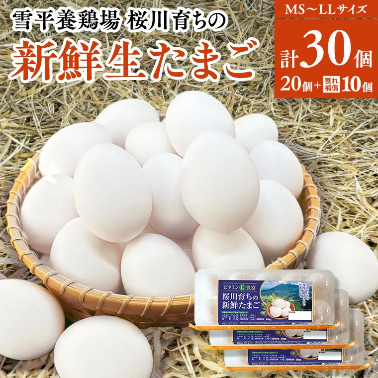 雪平養鶏場 桜川育ちの 新鮮 たまご 合計30個（20個＋10個割れ補償付) 数量限定 卵 数量限定 茨城県 桜川市 [SC032sa]