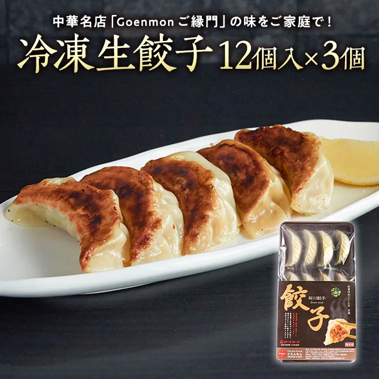 Goenmonの 冷凍生餃子 本格 中華 冷凍餃子 生餃子 餃子 ギョウザ 焼餃子 セット お取り寄せ 手包み おつまみ おかず [BK006sa]