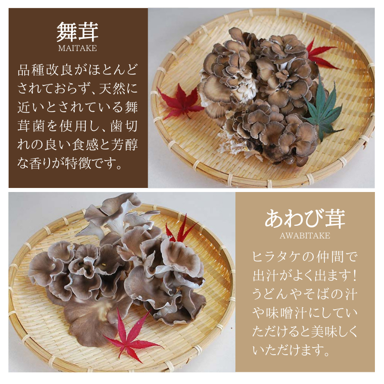 きのこ の 詰め合わせ Mサイズ 約1500g【茨城県共通返礼品 城里町】 キノコ 舞茸 あわび茸 たもぎ茸 しいたけ 花びら茸  [CX002sa]｜桜川市｜茨城県｜返礼品をさがす｜まいふる by AEON CARD