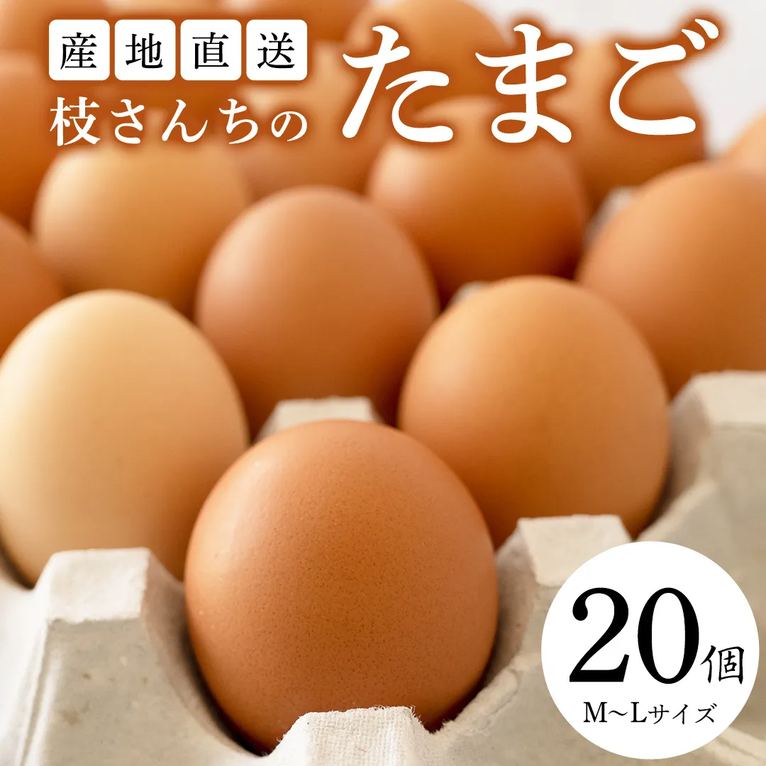  枝さんちのたまご(M～L20個) 産地直送  餌にこだわり 平飼いでのびのび育った卵 卵 非遺伝子組換え [BT001sa]