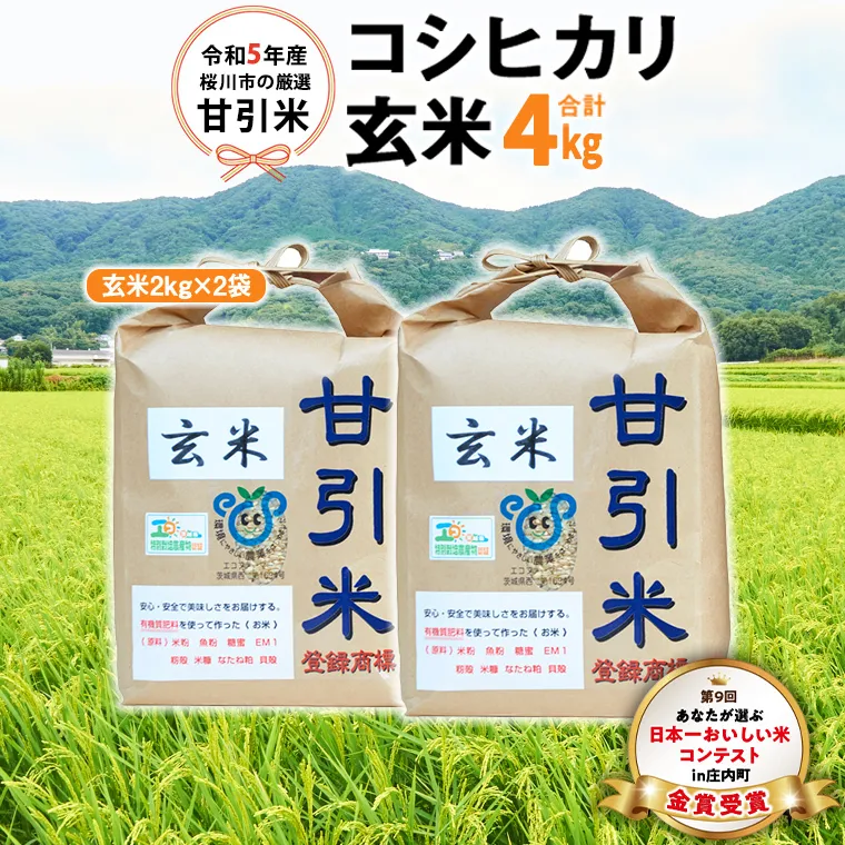 令和5年産 桜川市 の 厳選 甘引米 コシヒカリ 玄米 4kg  桜川市産 玄米 コシヒカリ こしひかり 米 こめ コメ 茨城県 いばらき 有機肥料 [BA005sa]