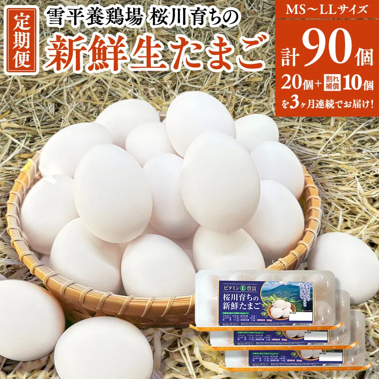 【3ヵ月定期便】雪平養鶏場 桜川育ちの 新鮮 たまご 合計90個 （20個＋10個割れ補償付)×3回  数量限定 卵 定期便 茨城県 桜川市 [SC033sa]