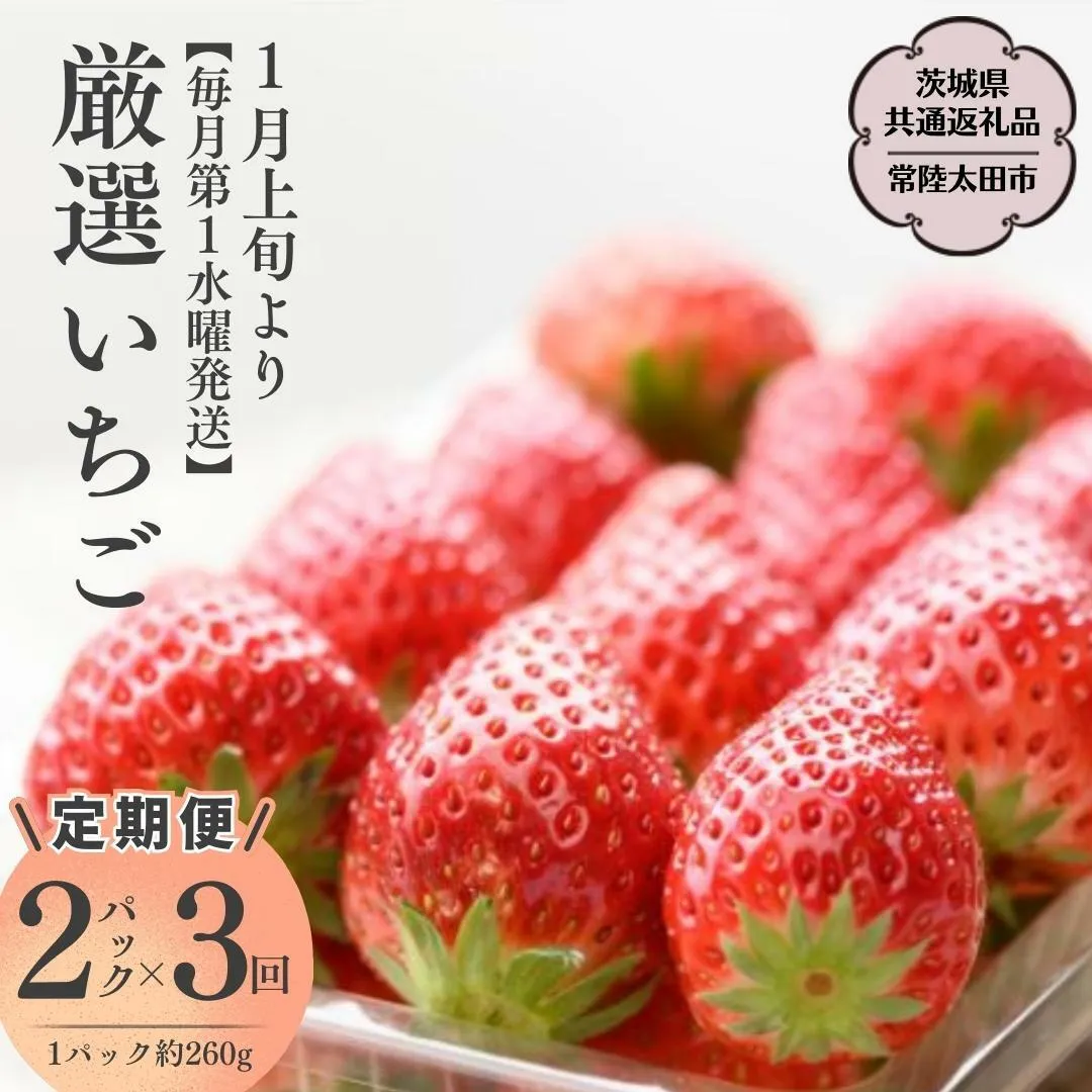 【2025年1月上旬】【定期コース】厳選いちご 2パック×3回【第1水曜発送】（茨城県共通返礼品／常陸太田市） フルーツ 苺 イチゴ いちご 新鮮 朝採れ 茨城県 桧山FRUITFARM [DY005sa]