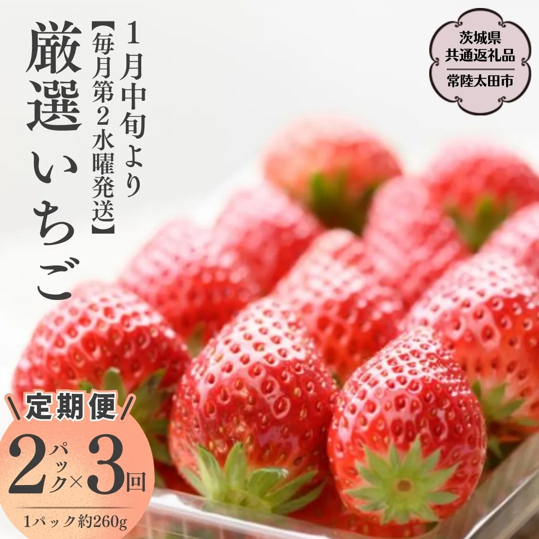 【2025年1月中旬】【定期コース】厳選いちご 2パック×3回【第２水曜発送】（茨城県共通返礼品／常陸太田市） フルーツ 苺 イチゴ いちご 新鮮 朝採れ 茨城県 桧山FRUITFARM [DY007sa]