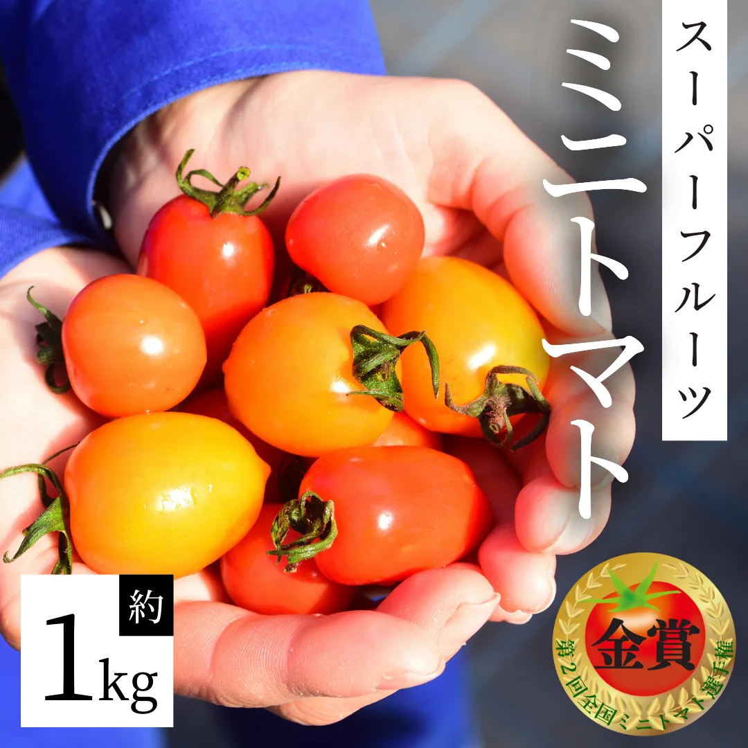 【 2025年収穫分 先行予約 】スーパーフルーツ ミニトマト 約1kg 2025年2月上旬発送開始 ミニトマト フルーツトマト ブランドトマト トマト とまと 野菜 [BC070sa]