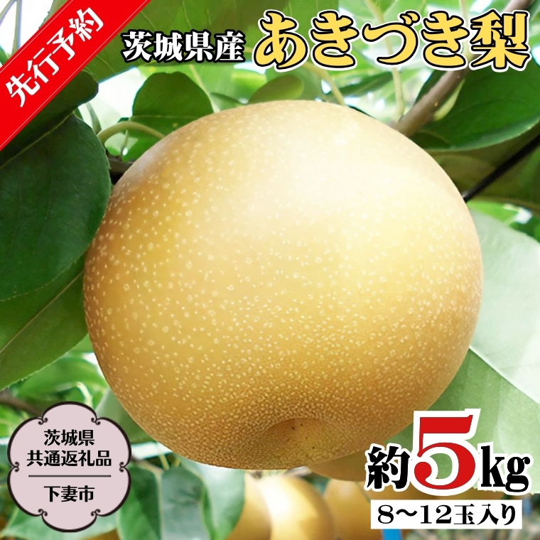 先行予約 】 茨城県産 あきづき 梨 5kg 8玉～12玉入り (茨城県共通返礼品／下妻市） ( 2024年8月上旬発送開始 ) 梨 数量限定 なし  ナシ フルーツ 果物 旬 産地直送 JA 常総ひかり [DF003sa]｜桜川市｜茨城県｜返礼品をさがす｜まいふる by AEON CARD