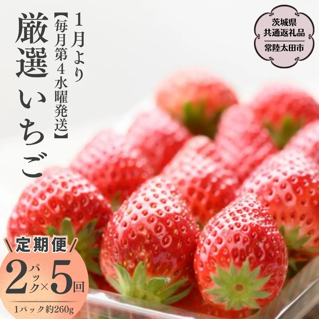 【2025年1月発送開始】【定期 毎月お届けコース】厳選いちご 2パック×5回 （茨城県共通返礼品／常陸太田市） フルーツ 苺 イチゴ いちご 新鮮 朝採れ 茨城県 桧山FRUITFARM [DY015sa]