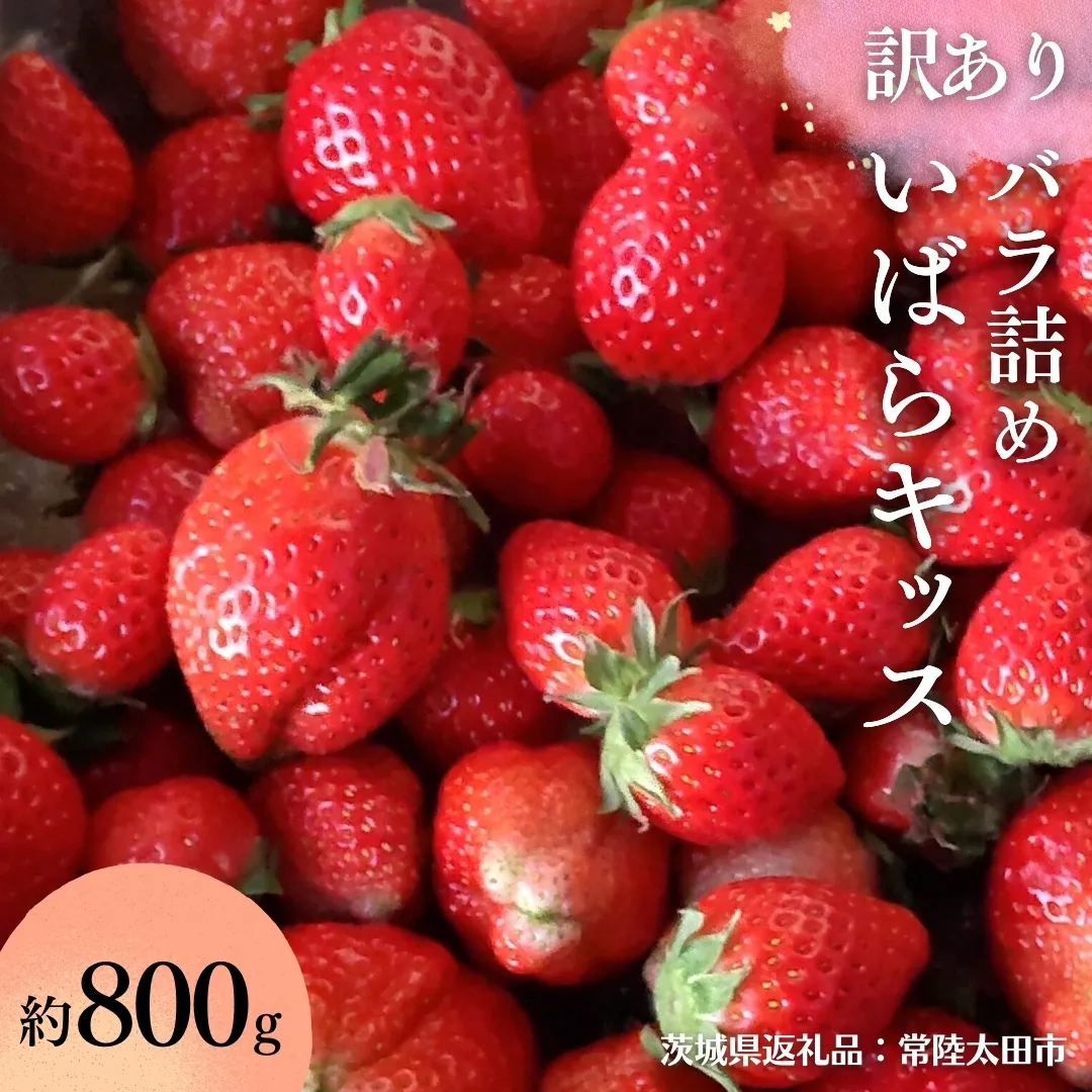 【 訳あり 】【 先行予約 2025年2月以降発送 】 いばらキッス たっぷり 約800g バラ詰め  （茨城県共通返礼品／常陸太田市） フルーツ 苺 イチゴ いちご 新鮮 朝採れ 茨城県 桧山FRUITFARM [DY023sa]