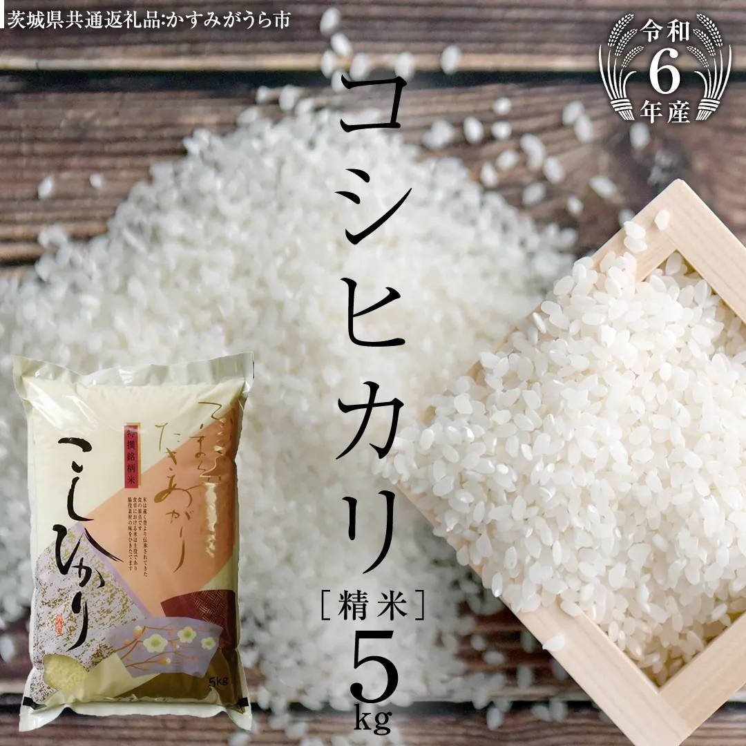 【 令和6年産 】 コシヒカリ 精米 5kg ( 5kg × 1袋 ) (茨城県共通返礼品 かすみがうら市) 米 ごはん もっちり 甘い コメ お米 白米 [EX001sa]