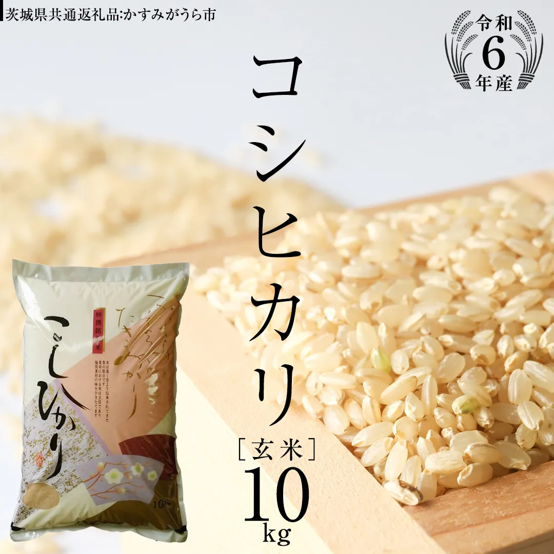 【 令和6年産 】 コシヒカリ 玄米 10kg ( 10kg × 1袋 ) (茨城県共通返礼品 かすみがうら市) 米 ごはん もっちり 甘い コメ お米 玄米 [EX004sa]