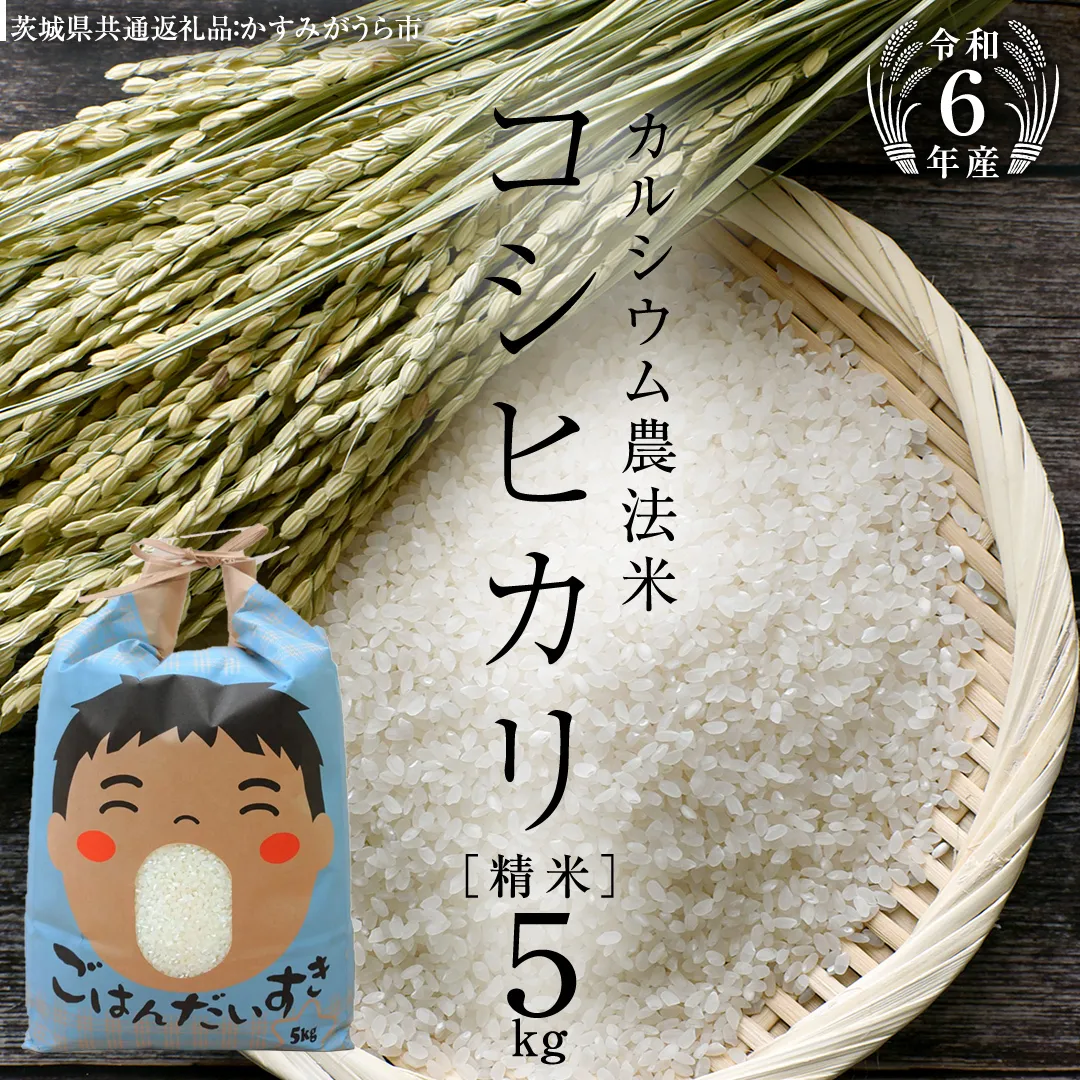 【 令和6年産 】 カルシウム農法米 コシヒカリ 精米 5kg ( 5kg × 1袋 ) (茨城県共通返礼品 かすみがうら市) 米 ごはん 粘り ツヤ コメ お米 白米 [EX005sa]