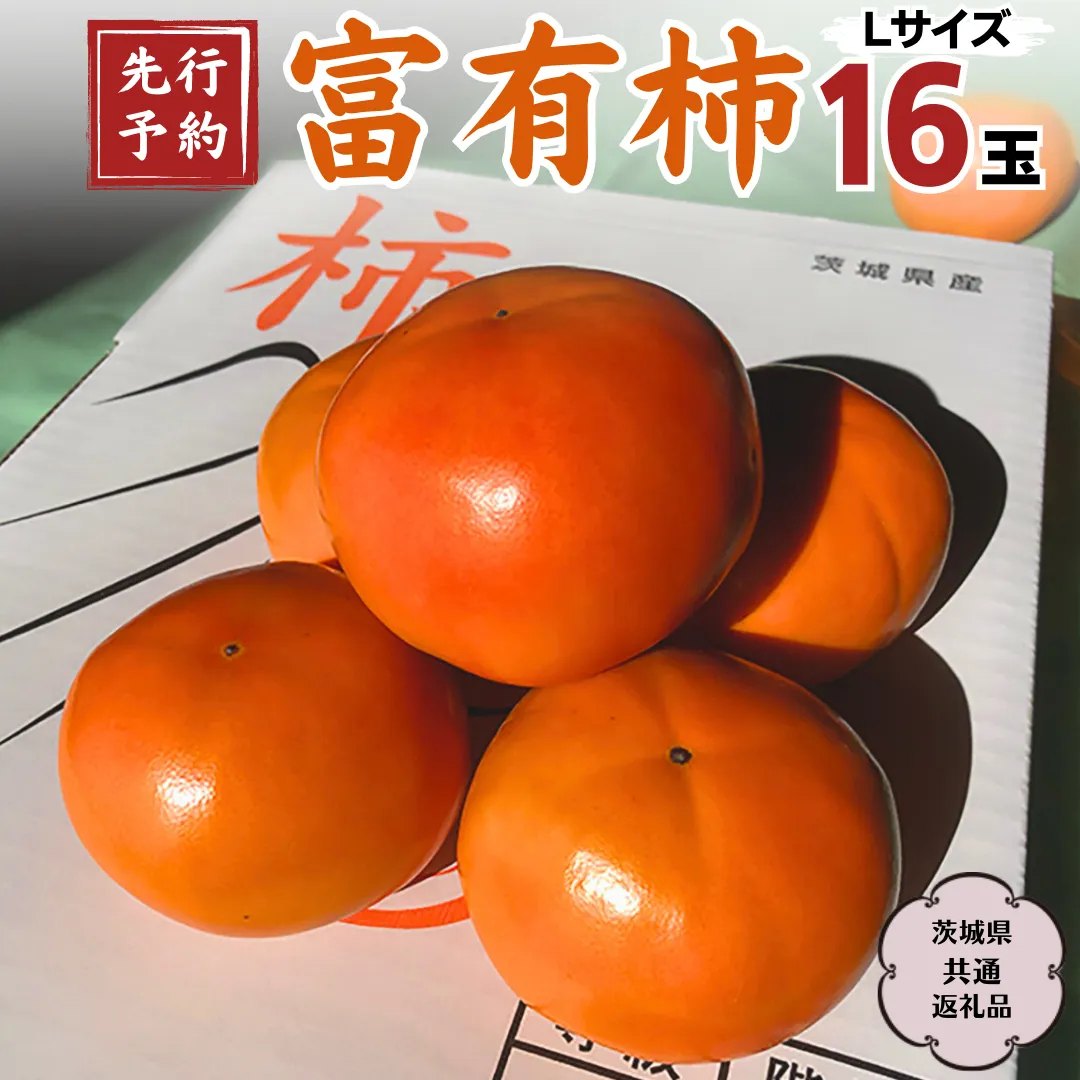 【 2024年 先行予約 】 富有柿 L 16玉 (茨城県共通返礼品 石岡市) 2024年10月下旬発送開始 果物 くだもの フルーツ 柿 かき[DC001sa]