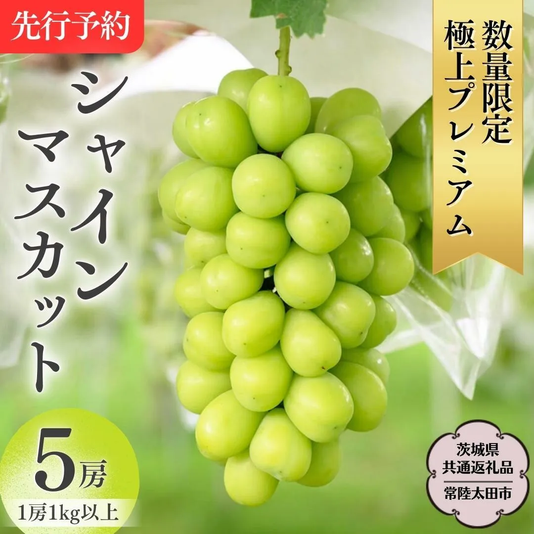 【 先行予約 】 極上プレミアム シャインマスカット1房1kg以上 数量限定 5房入り【 茨城県共通返礼品 ／ 常陸太田市 】  桧山果樹園 農家直送 桧山果樹園 農家直送 フルーツ  甘い 直送 茨城 限定 ギフト ぶどう シャインマスカット 旬 贈答 果物 [DU018sa]