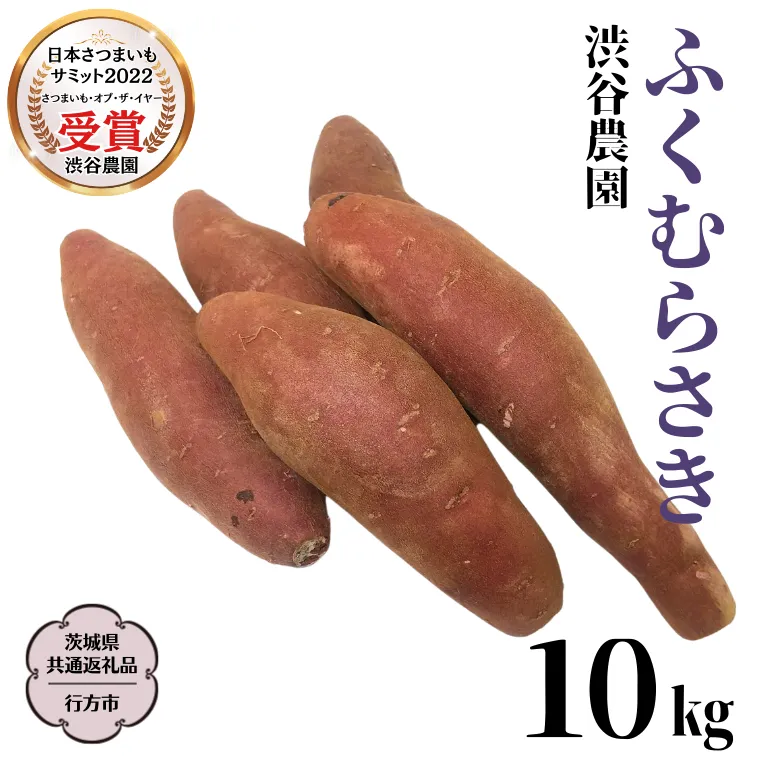 ふくむらさき 約10kg 【茨城県共通返礼品／行方市】2024年11月から発送開始 渋谷農園 さつまいも  いも 紫芋 芋 焼芋 [DT004sa]